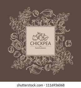 Background with chickpea: chickpea bean, pod, chickpea plant and leaves Vector hand drawn illustration