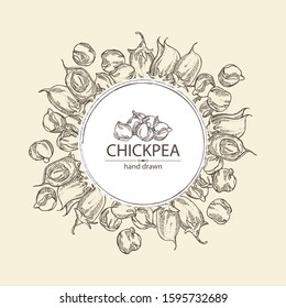 Background with chickpea: chickpea bean, pod, chickpea plant and leaves Vector hand drawn illustration