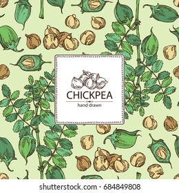 Background with chickpea: chickpea bean, pod, chickpea plant and leaves Vector hand drawn illustration