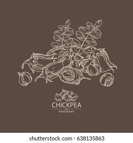 Background with chickpea. Hand drawn.