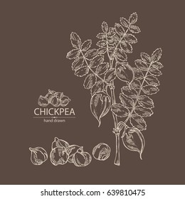 Background with chickpea. Hand drawn.