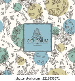 Background with chicory: chicory plant, leaves,  flowers and chicory root. Cichorium intybus. Vector hand drawn illustration.