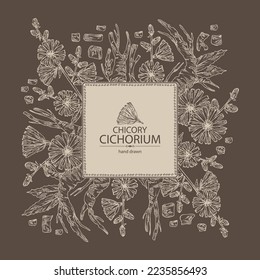 Hintergrund mit Zichorie: Zichorienpflanze, Blätter, Blumen und Zichorienwurzel. Cichorium intybus. Vektorgrafik, handgezeichnet.