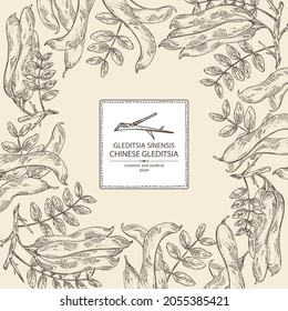 Background with chinese gleditsia: plant, leaves, and chinese gleditsia pod. Gleditsia sinensis. Cosmetic and medical plant. Vector hand drawn illustration