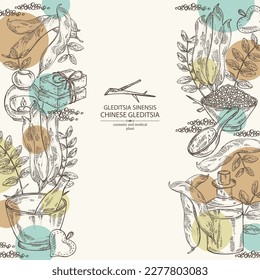 Background with chinese gleditsia: plant, leaves, and chinese gleditsia pod. Gleditsia sinensis. Oil, soap and bath salt . Cosmetics and medical plant. Vector hand drawn illustration