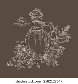 Background with chitrak: chitrak plant, leaves, plumbago zeylanica root and chitrak flowers and bottle of chitrak oil. Plumbago zeylanica. Vector hand drawn illustration