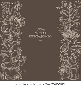 Background with chitrak: chitrak plant, leaves, plumbago zeylanica root and chitrak flowers. Plumbago zeylanica. Oil, soap and bath salt . Cosmetics and medical plant. Vector hand drawn
