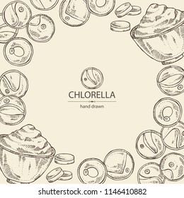 Background with chlorella: chlorella seaweed, powder and tablet. Unicellular green algae. Edible seaweed. Vector hand drawn illustration.