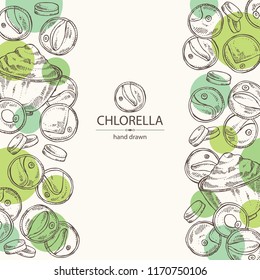 Background with chlorella: chlorella seaweed, powder and tablet. Unicellular green algae. Edible seaweed. Vector hand drawn illustration.