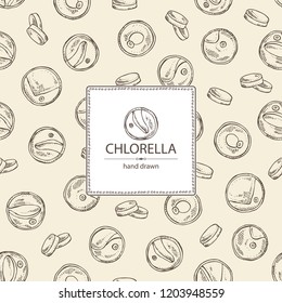 Background with chlorella: chlorella seaweed, powder and tablet. Unicellular green algae. Edible seaweed. Vector hand drawn illustration.