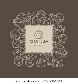 Background with chlorella: chlorella seaweed, powder and tablet. Unicellular green algae. Edible seaweed. Vector hand drawn illustration.