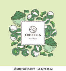 Background with chlorella: chlorella seaweed, powder and tablet. Unicellular green algae. Edible seaweed. Vector hand drawn illustration.