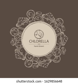 Background with chlorella: chlorella seaweed, powder and tablet. Unicellular green algae. Edible seaweed. Vector hand drawn illustration.