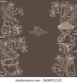 Background with chonemorpha macrofylla: chonemorpha macrofylla plant, leaves and chonemorpha macrofylla flowers. Oil, soap and bath salt . Cosmetics and medical plant. Vector hand drawn
