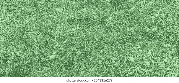 Fondo para Navidades con agujas de pino y conos de pino Pequeño