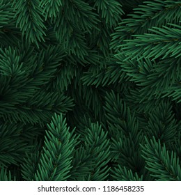 Background Christmas tree branches. Festive Xmas border of green branch of pine.