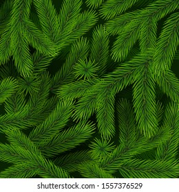 background of christmas tree branches. Vector illustration