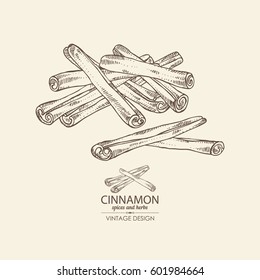 Background with cinnamon. hand drawn.