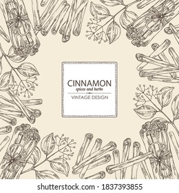 Background with cinnamon and cinnamon plant. Vector hand drawn illustration.