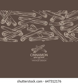 Background with cinnamon. Vector hand drawn illustration