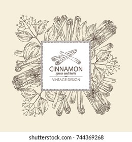 Background with cinnamon. Vector hand drawn illustration.