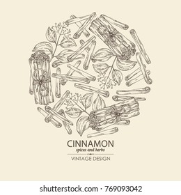 Background with cinnamon. Vector hand drawn illustration.