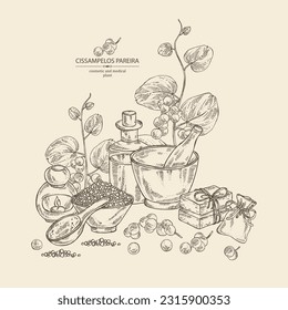 Background with cissampelos pareira: leaves, cissampelos berries and cissampelos pareira plant. Oil, soap and bath salt . Cosmetics and medical plant. Vector hand drawn illustration