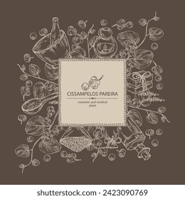 Background with cissampelos pareira: leaves, cissampelos berries and cissampelos pareira plant. Oil, soap and bath salt . Cosmetics and medical plant. Vector hand drawn illustration