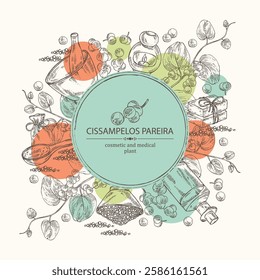 Background with cissampelos pareira: leaves, cissampelos berries and cissampelos pareira plant. Oil, soap and bath salt . Cosmetics and medical plant. Vector hand drawn illustration