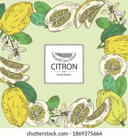 Fondo con citrón: frutas, flores de citrón, hojas y rodajas de zedrate. Citrus medica. Ilustración dibujada a mano por el vector