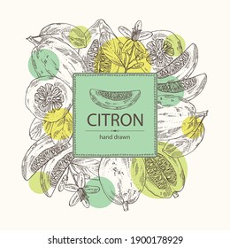 Background with citron: fruts, citron flower, leaves and zedrate slice. Citrus medica. Vector hand drawn illustration