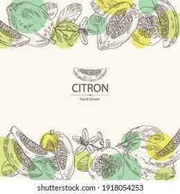 Background with citron: fruts, citron flower, leaves and zedrate slice. Citrus medica. Vector hand drawn illustration