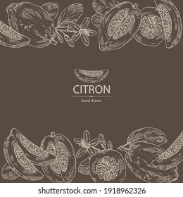 Hintergrund mit Citron: Früchte, Zitronenblume, Blätter und Zierschnitzel. Citrus medica. handgezeichnete Vektorgrafik