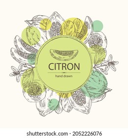 Fondo con citrón: frutas, flores de citrón, hojas y rodajas de zedrate. Citrus medica. Ilustración dibujada a mano por el vector