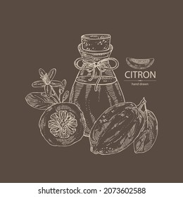 Background with citron: fruts, citron flower, leaves and zedrate slice and bottle of citron essential oil. Cosmetic, perfumery and medical plant. Vector hand drawn illustratio