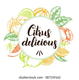 Background with citrus fruits and brush calligraphy style lettering. Composition circle. Template for design leaflets, labels, banners. Ink Hand drawn vector illustration.