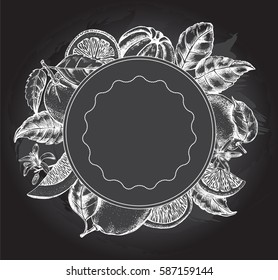 Background with citrus fruits. Composition circle. Template for design leaflets, labels, banners. Ink Hand drawn vector illustration.