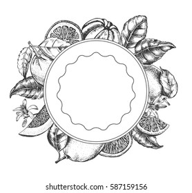 Background with citrus fruits. Composition circle. Template for design leaflets, labels, banners. Ink Hand drawn vector illustration.