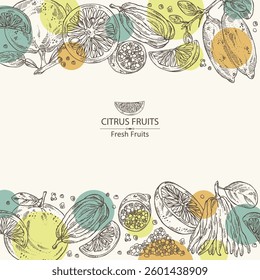 Background with citrus fruitst: finger lime, grapefruit, yuzu and fingered citron. Vector hand drawn illustration.