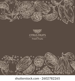 Background with citrus fruitst: finger lime, grapefruit, yuzu and fingered citron. Vector hand drawn illustration.