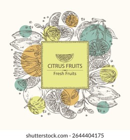 Fundo com citrinos fruitst: limão dedo, toranja, yuzu e cítron com dedos. Ilustração desenhada à mão vetorial.