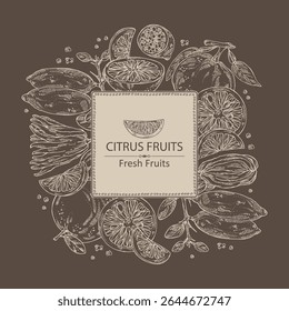 Fundo com citrinos fruitst: limão dedo, toranja, yuzu e cítron com dedos. Ilustração desenhada à mão vetorial.