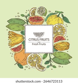 Fundo com citrinos fruitst: limão dedo, toranja, yuzu e cítron com dedos. Ilustração desenhada à mão vetorial.