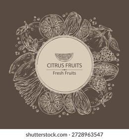 Hintergrund mit Zitrusfrüchten: Fingerkalk, Grapefruit, Yuzu und gefingerte Zitrone. Handgezeichnete Vektorgrafik.