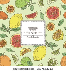 Background with citrus fruitst:  kaffir lime, lemon, grapefruit and kumquat. Vector hand drawn illustration.