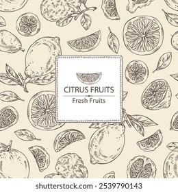 Fundo com citrinos fruitst: calcário, limão, toranja e kumquat. Ilustração desenhada à mão vetorial.