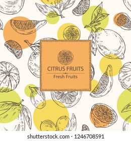 Background with citrus fruitst: lemon, pomelo, tangerine and kumquat. Vector hand drawn illustration.