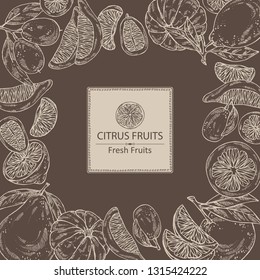 Background with citrus fruitst: lemon, pomelo, tangerine and kumquat. Vector hand drawn illustration