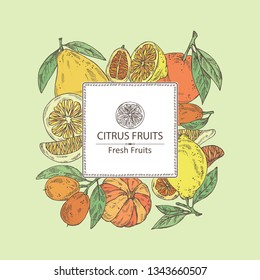 Background with citrus fruitst: lemon, pomelo, tangerine and kumquat. Vector hand drawn illustration