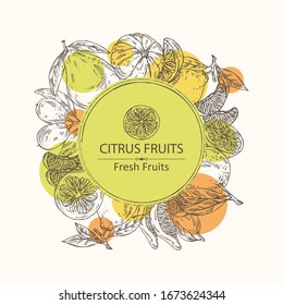 Background with citrus fruitst: lemon, pomelo, tangerine and kumquat. Vector hand drawn illustrationBackground with citrus fruitst: lemon, pomelo, tangerine and kumquat. Vector hand drawn illustration